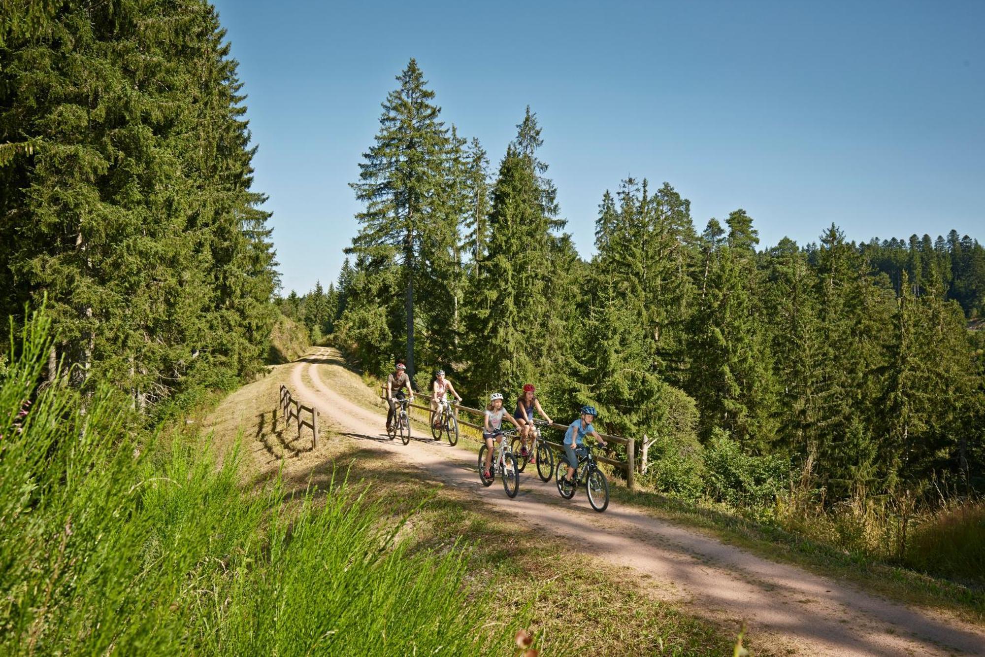 Ferienwohnung Seeblick Nr 2 5-Zimmerwohnung - Feldberg Baerental Rotwasser Buitenkant foto